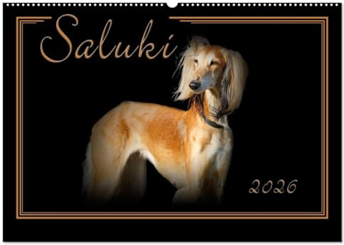 Saluki 2026 (Wandkalender 2026 DIN A2 quer), CALVENDO Monatskalender: Saluki - Der persische Windhund. Liebevoll ausgesuchte Portraits. (CALVENDO Tiere)