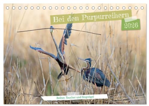 Bei den Purpurreihern (Tischkalender 2026 DIN A5 quer), CALVENDO Monatskalender: Ein kleiner Auszug der Tiere im Gebiet der Purpurreiher (CALVENDO Tiere)