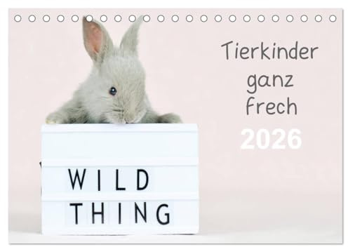 Tierkinder ganz frech (Tischkalender 2026 DIN A5 quer), CALVENDO Monatskalender: In jedem Monat präsentiert ein niedliches Tierkind eine Leuchtbox mit einem frechem Spruch (CALVENDO Tiere)