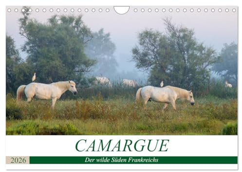 Camargue - Der wilde Süden Frankreichs (Wandkalender 2026 DIN A4 quer), CALVENDO Monatskalender: Landschaft und Tiere des einzigartigen Feuchtgebietes im Rhone-Delta (CALVENDO Natur)