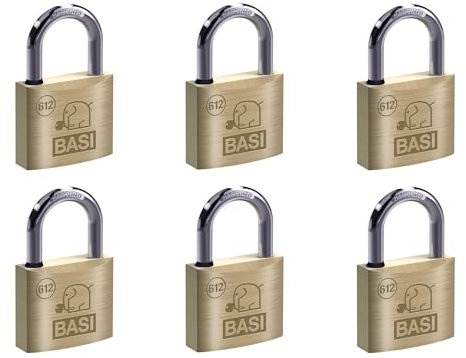 BASI | Vorhangschloss 6er Set | 30 mm | mit Wasserstopp | verschiedenschließend | massives Messing-Gehäuse | gehärteter Stahlbügel | stabiles Vorhängeschloss | Bügelstärke 5 mm | 6 Stück