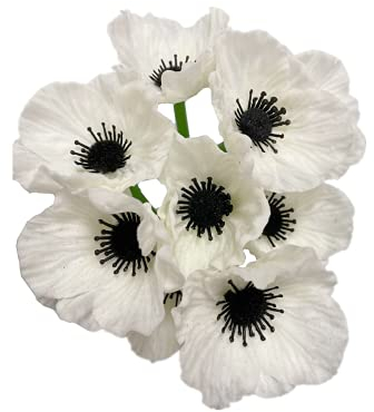 Blumensträuße mit 10 Stielen, 27,9 cm, künstliche Mohnblumen, PU-Kunstblumen für Küche, Tisch, Tischdekoration Vase, Heimdeko, Hochzeit, Blumenhintergrund, Bogenwand (weiß)