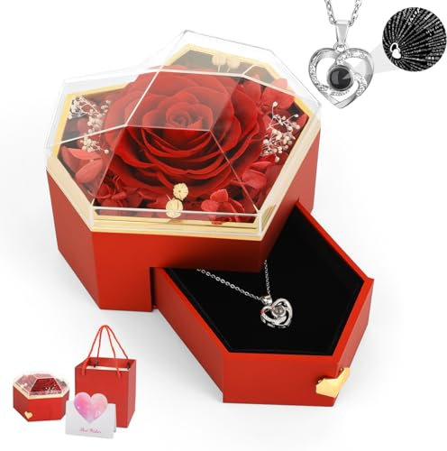 Emibele Necklaces Rosenbox, Kristall-Herz-Halskette mit 100 Sprachen für Mutter Freundin, Rote Rose mit Konservierte Blumen für Geburtstagsgeschenk Valentinstagsgeschenk, Rot