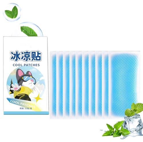 10 cerotti refrigeranti, cuscinetti refrigeranti in gel di raffreddamento, compresse multiple