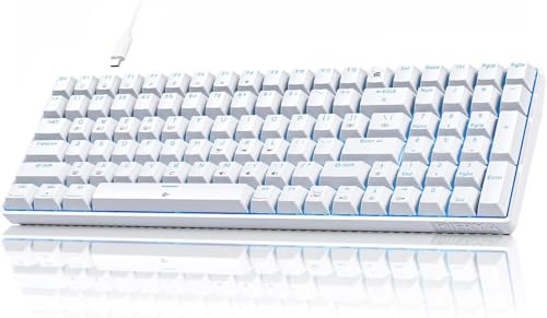 DIERYA DK98SE Gaming Keyboard,98 Keys Mechanica Keyboard with Linear Red Switches,USB-C Cable for PC Windows Gamers and Typists,White