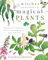 The Witches' Encyclopedia of Magical Plants: History, Folklore, Correspondences, and Spells