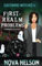 First-Realm Problems: A Paranormal Cozy Mystery (Eastwind Witches Cozy Mysteries, Band 12)
