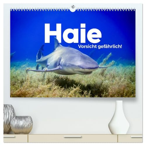 Haie - Vorsicht gefährlich! (hochwertiger Premium Wandkalender 2026 DIN A2 quer), Kunstdruck in Hochglanz: Entdecke die Welt der Haie. (CALVENDO Tiere)