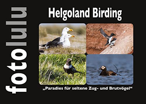 Helgoland Birding: Paradies für seltene Zug- und Brutvögel