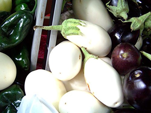 berenjena, blanco Casper, HERENCIA RARE, 10 SEMILLAS