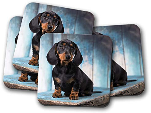 #16342 Untersetzer mit Dackel-Motiv – Dackel – Dackel – Wurst süß Welpe Hund Haustiergeschenk