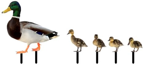 Okeeyseda 5 STK. Gartendekoration Enten-Gartenstecker Lustige Frühlingsdekoration Wie Abgebildet Acryl Outdoor-Entenornament Tierische Gartendekoration