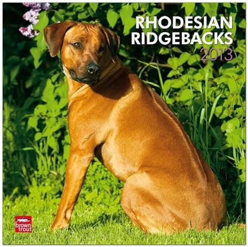 Rhodesian Ridgebacks 2013 (Wall-Kalender)