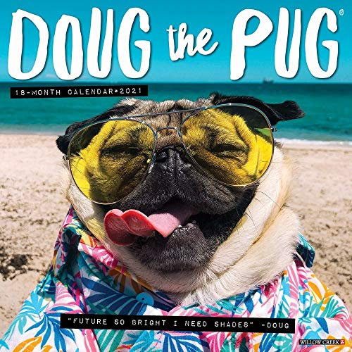 Doug the Pug 2021 Calendar