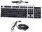 HOMSFOU Clavier Et Souris Gaming Ergonomiques Rétroéclairés RGB Ensemble USB avec Clavier à Arrondies Et Souris Filaire Compatible Pc Et Ordinateurs Portables
