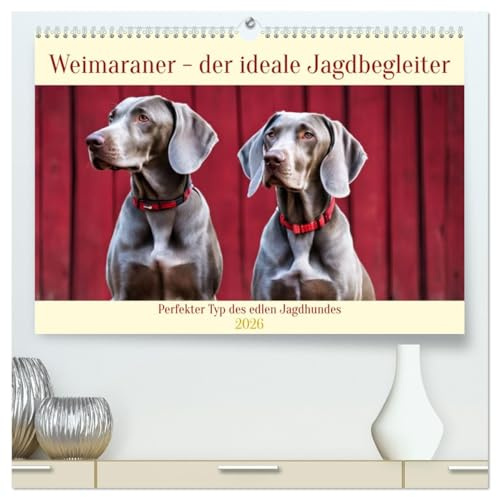 Weimaraner - der ideale Jagdbegleiter (hochwertiger Premium Wandkalender 2026 DIN A2 quer), Kunstdruck in Hochglanz: Perfekter Typ des edlen Jagdhundes (CALVENDO Tiere)