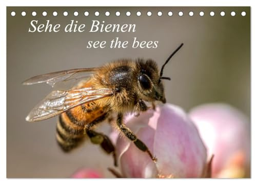 Sehe die Bienen (Tischkalender 2026 DIN A5 quer), CALVENDO Monatskalender: Natürliche Makro-Momentaufnahmen in freier Natur (CALVENDO Tiere)