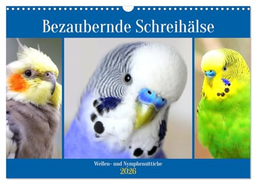 Bezaubernde Schreihälse. Wellen- und Nymphensittiche (Wandkalender 2026 DIN A3 quer), CALVENDO Monatskalender: Bunte Wellen- und kecke Nymphensittiche mit cooler Punkfrisur (CALVENDO Tiere)