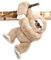 Inware 9234 - Faultier Fauli, mit Klettverschluss, 40 cm, beige, Kuscheltier