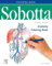 Sobotta Anatomy Coloring Book ENGLISCH/LATEIN (VORKLINIK - Lehrbuch - Urban & Fischer-Verlag)