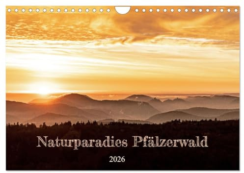 Naturparadies Pfälzerwald (Wandkalender 2026 DIN A4 quer), CALVENDO Monatskalender: Der Pfälzerwald -vielfältige Natur in allen Farben und Formen (CALVENDO Natur)