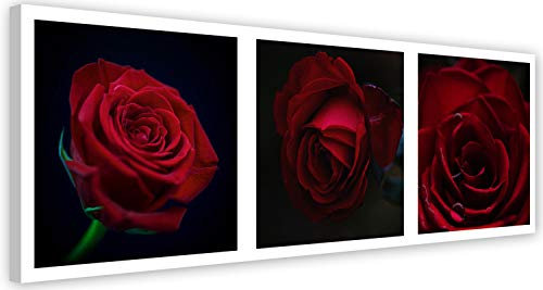 Photo sur Toile Roses Tableau Giclée Fleurs Nature Composition rouge 70x25 cm