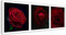 Photo sur Toile Roses Tableau Giclée Fleurs Nature Composition rouge 70x25 cm