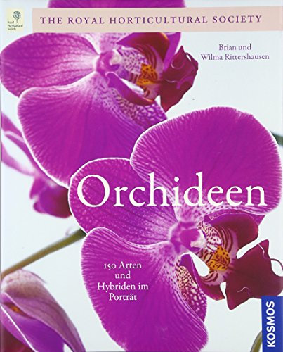 Orchideen: Die schönsten Arten und Sorten