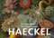 Postkarten-Set Ernst Haeckel: 18 Kunstpostkarten aus hochwertigem Karton. ca. 0,28€ pro Karte (Anaconda Postkarten, Band 30)