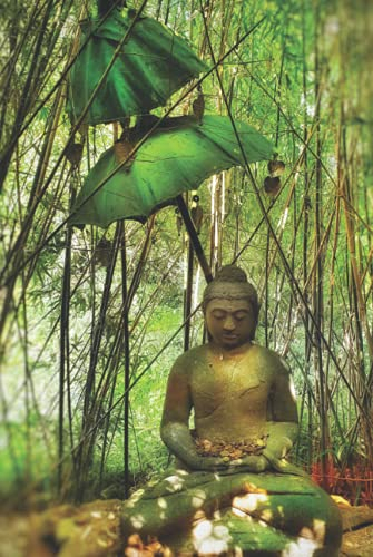 Notizbuch | A5 | Hardcover | Notizheft | Notebook | Skizzenbuch: 120 Seiten (Pages) | Kariert (graph paper) | Creme (cream) | Orginal Cover Fotografien (photos) by Nature Art Work | Buddha