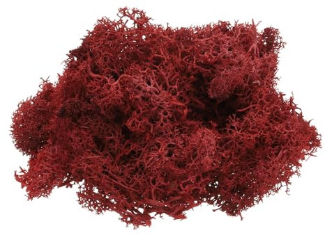 QUARKZMAN Mousse de Renne Préservée, 4 Oz de Fausse Mousse pour L'Artisanat, Mousse Séchée Artificielle pour la Décoration, L'Artisanat, Les Terrariums, Les Plantes en Pot (Rouge Foncé)