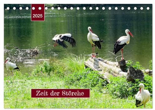 Zeit der Störche (Tischkalender 2025 DIN A5 quer), CALVENDO Monatskalender