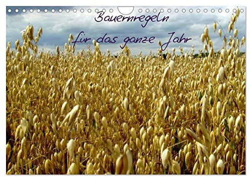 Bauernregeln für das ganze Jahr (Wandkalender 2025 DIN A4 quer), CALVENDO Monatskalender