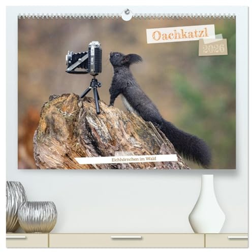Oachkatzl (hochwertiger Premium Wandkalender 2026 DIN A2 quer), Kunstdruck in Hochglanz (CALVENDO Tiere)
