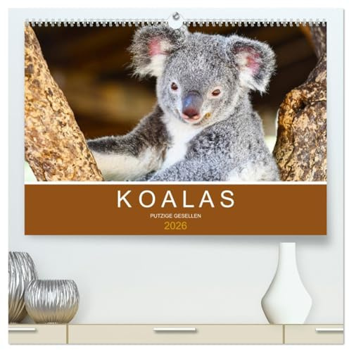 Koalas, putzige Gesellen (hochwertiger Premium Wandkalender 2026 DIN A2 quer), Kunstdruck in Hochglanz: Flauschige Teddybären, die man knuddeln müchte (CALVENDO Tiere)