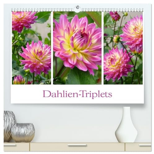Dahlien-Triplets (hochwertiger Premium Wandkalender 2026 DIN A2 quer), Kunstdruck in Hochglanz: Auf jeder Kalenderseite: Dahlien im Dreierpack (CALVENDO Natur)