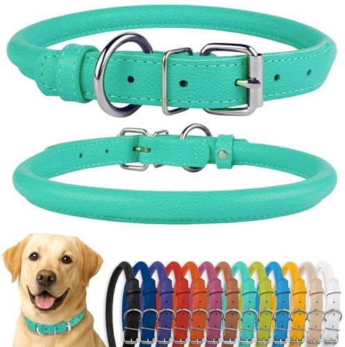 CollarDirect Rolled Leather Dog Collar, Soft Padded Round Puppy Collar, Handmade Genuine Leather Collar Dog Small Large Cat Collars Black Pink Red Purple Blue (Fits 16-20 Neck, Mint Green)