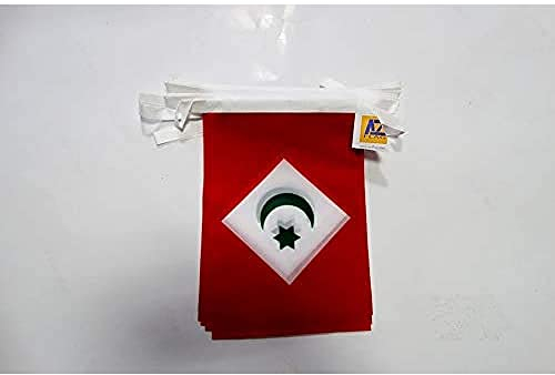AZ FLAG - Guirlande Drapeau Rif indépendantiste au Maroc - 6 Mètres Avec 20 Fanions Du Rif De 21x14 cm - Petits Drapeaux 100% Polyester - 60g