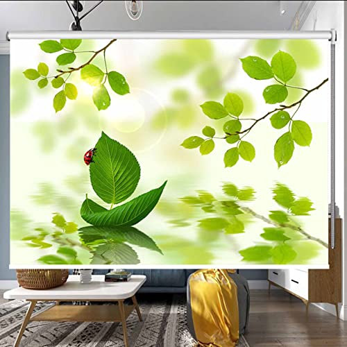 Roller Blinds Roller Blinds Green Blackout Roller Shade, Leaf Pattern Fabric Roll up Shades, Indoor Kitchen Living Room Window Curtain, Easy to Pull Down & up ( Color : W x H , Size : 100CM x 240cm(3.