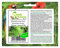 Stk - 10x Blechnum minus Farn Wasserfarn Garten Pflanzen - Samen B796 - Seeds & Plants Shop by Ipsa