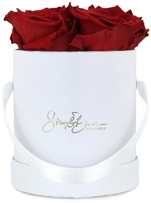 Stone&Bane FLOWERS Infinity Rosenbox | White Collection | XS | Rosenfarbe rot