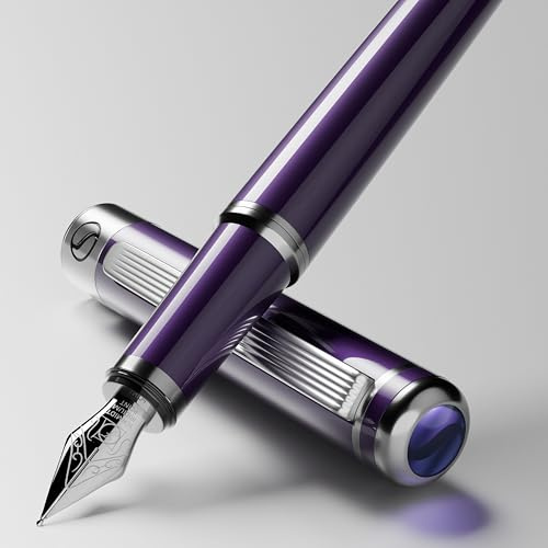 Scriveiner Luxury Fountain Pen - Aubergine, Schmidt Gilded Nib (Fine), Converter, Best Pen Gift Set for Men & Women, Professional, Executive, Office, Nice Pens