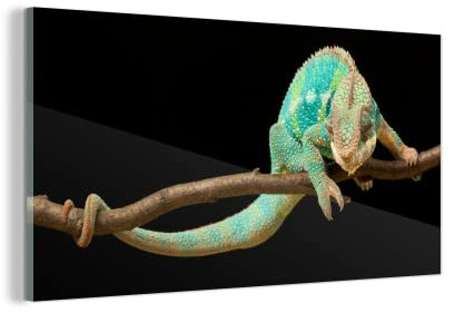 MuchoWow Glasbild Glasfoto Wandbild Bilder Deko 160x80 cm Chamäleon - Zweig - Pastell