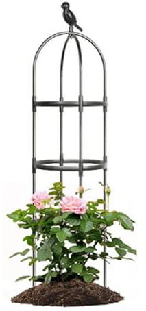 Rankhilfe Obelisk, Metall Rankhilfe Rankobelisk, 180cm Großes Pflanzen Rankhilfe, Witterungsbeständige Rosen Spalier, rankhilfen für kletterpflanzen, Einfach Zu Montieren (37x170cm)