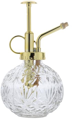 TOYANDONA Arrosoir Verre Vintage Transparent Pulvérisateur Précis pour Plantes Intérieur et Succulentes Jardinage Facile