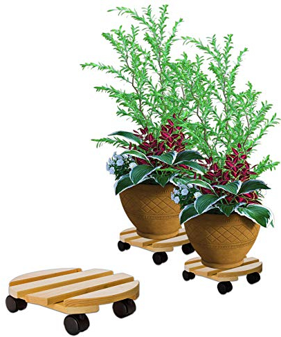 BigDean Pflanzenroller rund Buchenholz massives Holz 30 cm bis 120 Kg Rolluntersetzer