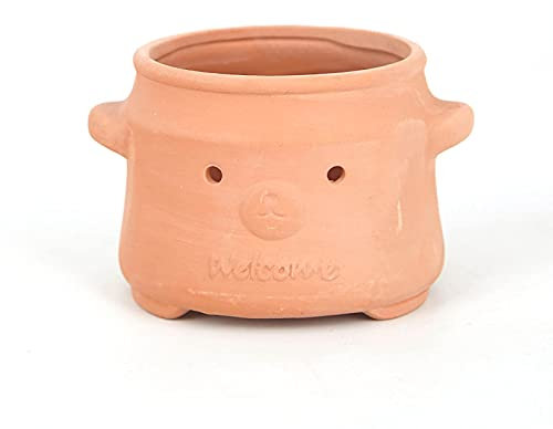 NICETOW Pots de jardinière Succulents Ronds en Terre Cuite, Pots de Fleurs décoratifs en Forme d'animal, Pot d'argile extérieur d'intérieur pour Plante, Petits Pots de Plante de Visage de Bureau pou