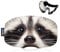 Hytiland SKI Goggle Cover Sleeve, Lens Scratch-Free & Dust Protection, for Travel Storage, Snow Ski Goggles (Raccoon)