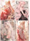 SHEGZHUC 4er Set Diamond Painting Anime Girl 30x40cm Diamond Painting Blumen Mädchen Diamant Painting Mädchen Diamond Painting Japan Anime Cartoon Basteln Erwachsene Frauen Diamond Painting Frau Craft