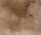 HEITMANN Lammfell Sitzkissen Sitzauflage rund 45 cm Stuhl Kissen warm (Camel)
